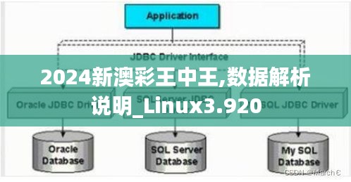 2024新澳彩王中王,數據解析說明_Linux3.920