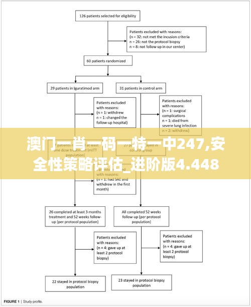 澳門一肖一碼一特一中247,安全性策略評(píng)估_進(jìn)階版4.448