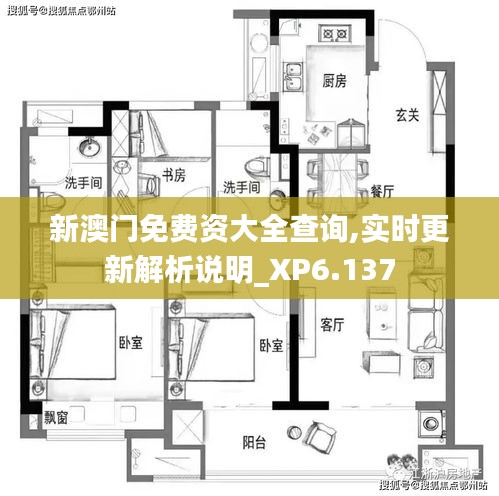 新澳門免費(fèi)資大全查詢,實(shí)時更新解析說明_XP6.137