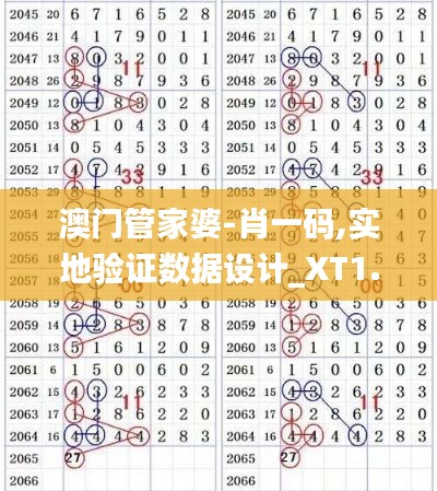 澳門管家婆-肖一碼,實(shí)地驗(yàn)證數(shù)據(jù)設(shè)計(jì)_XT1.283