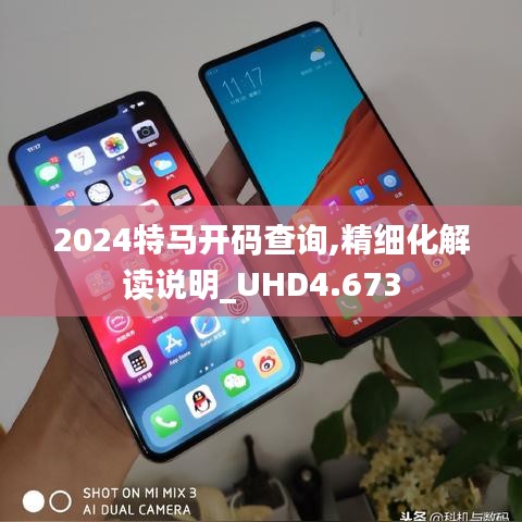 2024特馬開碼查詢,精細(xì)化解讀說明_UHD4.673