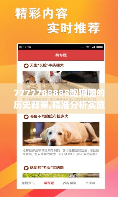 7777788888跑狗圖的歷史背景,精準(zhǔn)分析實(shí)施步驟_限定版10.476