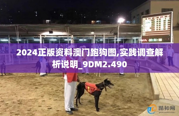 2024正版資料澳門跑狗圖,實踐調(diào)查解析說明_9DM2.490