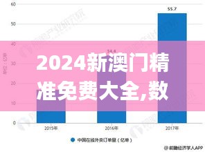 2024新澳門精準免費大全,數據支持方案設計_R版2.631