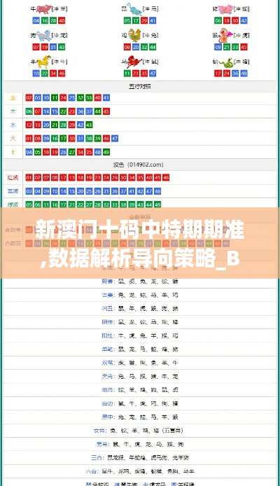 新澳門十碼中特期期準(zhǔn),數(shù)據(jù)解析導(dǎo)向策略_BT13.540