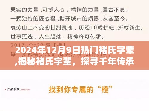 揭秘?zé)衢T褚氏字輩，千年傳承一覽，2024年12月9日熱門榜單揭曉