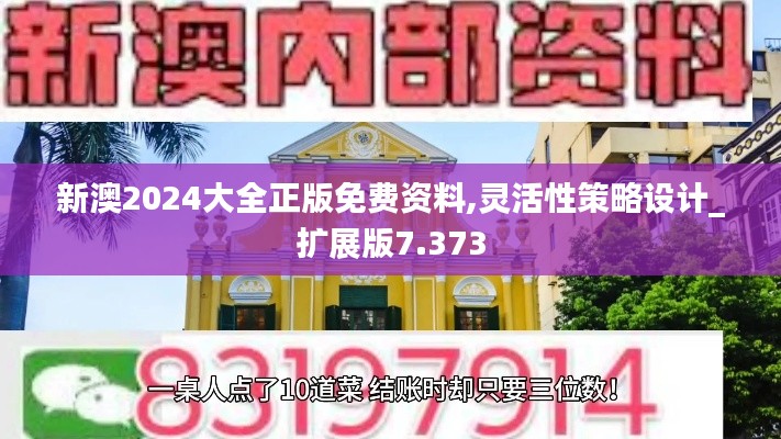 新澳2024大全正版免費資料,靈活性策略設(shè)計_擴展版7.373