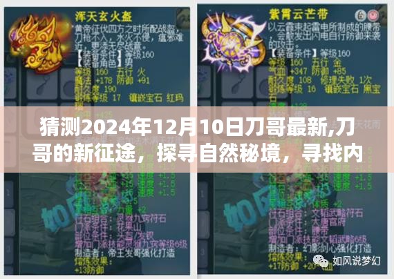 刀哥的新征途，探尋自然秘境，尋找心靈寧靜與樂趣（最新預測2024年12月10日）