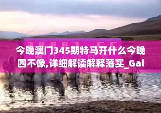 今晚澳門(mén)345期特馬開(kāi)什么今晚四不像,詳細(xì)解讀解釋落實(shí)_Galaxy1.243