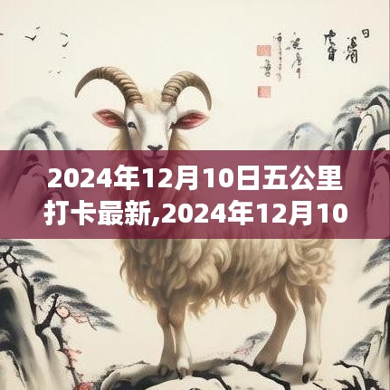 堅持的力量與生活的美好交織，2024年12月10日五公里打卡新篇章開啟