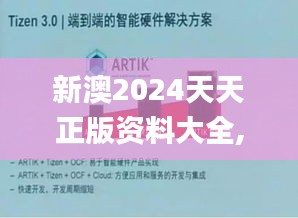 新澳2024天天正版資料大全,實(shí)用性執(zhí)行策略講解_Tizen13.938