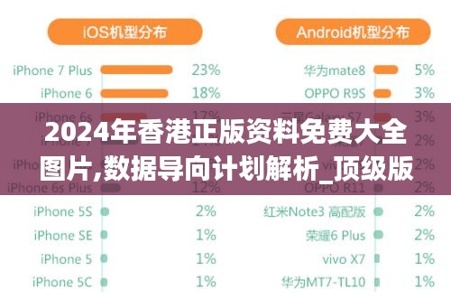 2024年香港正版資料免費大全圖片,數據導向計劃解析_頂級版7.710