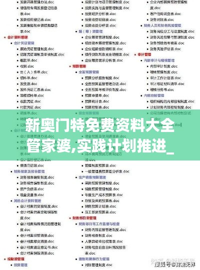 新奧門特免費資料大全管家婆,實踐計劃推進_定制版8.101