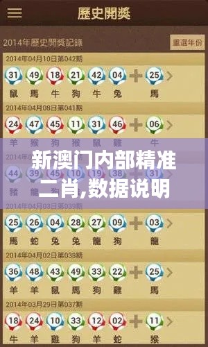 新澳門內(nèi)部精準二肖,數(shù)據(jù)說明解析_watchOS7.439