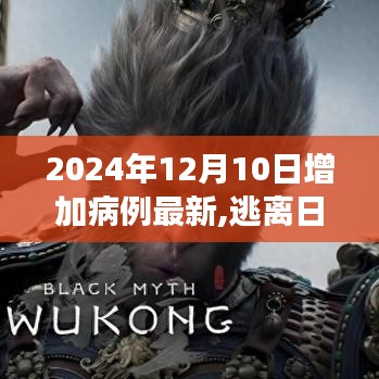 病例增加背后的啟示，逃離喧囂，探索自然美景的旅行啟示錄（最新更新至2024年12月10日）