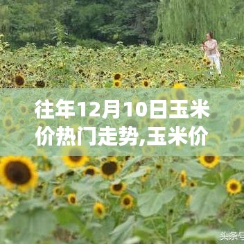 瑞雪飛舞 第3頁