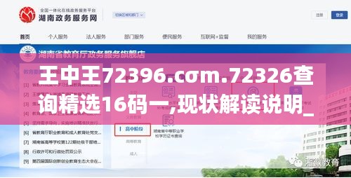 王中王72396.cσm.72326查詢精選16碼一,現狀解讀說明_特別款8.765