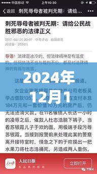 深度解析，山東殺人辱母案全程指南——從背景揭秘到法律維權之路（2024年12月10日熱點關注）