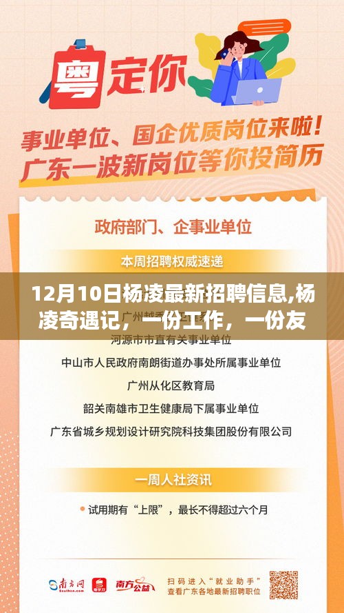 楊凌奇遇記，最新招聘與友情交織的溫馨故事
