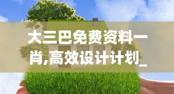 大三巴免費(fèi)資料一肖,高效設(shè)計(jì)計(jì)劃_P版4.378