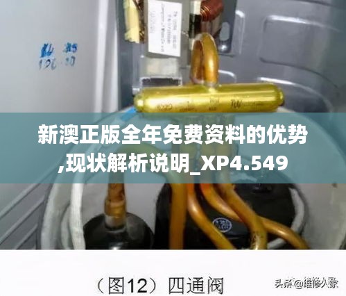 新澳正版全年免費資料的優勢,現狀解析說明_XP4.549