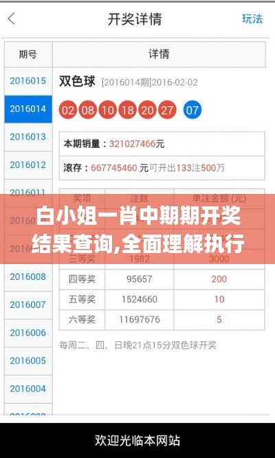 白小姐一肖中期期開獎結果查詢,全面理解執行計劃_交互版10.655
