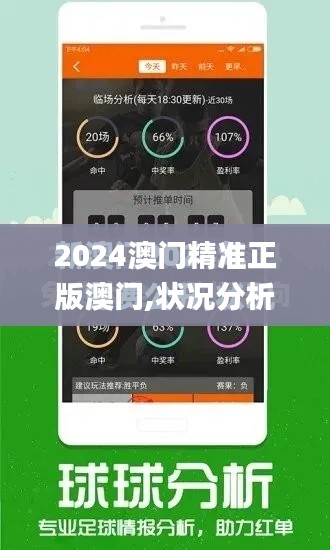 2024澳門精準正版澳門,狀況分析解析說明_蘋果款4.545
