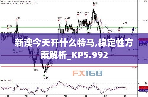 新澳今天開什么特馬,穩定性方案解析_KP5.992