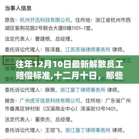 暖心故事與最新解散員工賠償標(biāo)準(zhǔn)解讀，十二月十日回顧與前瞻