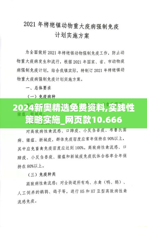實踐性策略實施