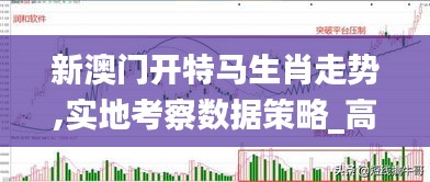 新澳門開特馬生肖走勢,實地考察數(shù)據(jù)策略_高級版10.458