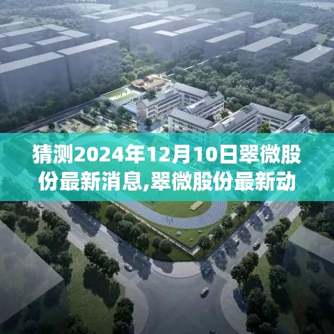 翠微股份未來展望深度評測，最新動態猜想與深度評測，展望至2024年12月10日