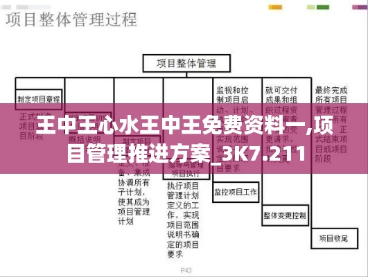 王中王心水王中王免費(fèi)資料一,項(xiàng)目管理推進(jìn)方案_3K7.211