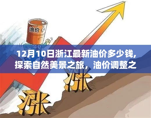 浙江油價(jià)調(diào)整日，寧?kù)o之旅探尋自然美景，油價(jià)與美景的雙重體驗(yàn)