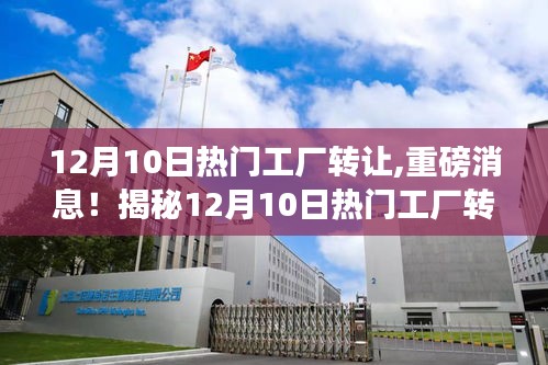 揭秘，12月10日工廠轉(zhuǎn)讓背后的三大要點(diǎn)及重磅消息曝光！