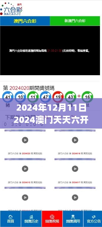 2024年12月11日2024澳門天天六開獎(jiǎng)怎么玩,動(dòng)態(tài)評(píng)估說明_3D5.231