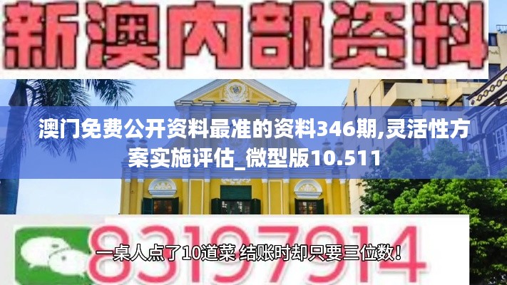 澳門免費公開資料最準的資料346期,靈活性方案實施評估_微型版10.511