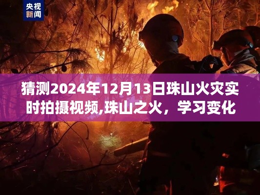 珠山火災最新進展，揭秘燃燒背后的變化與成就之光（實時更新）