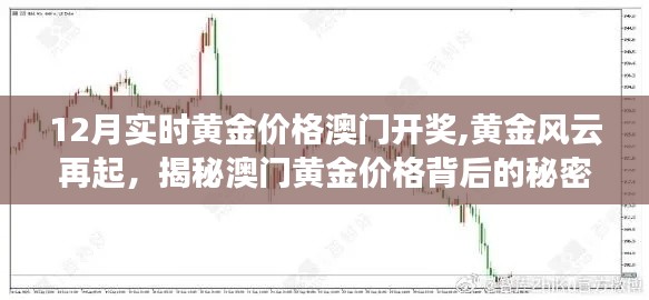 揭秘黃金風云背后的秘密，澳門黃金價格的犯罪真相與犯罪問題探討