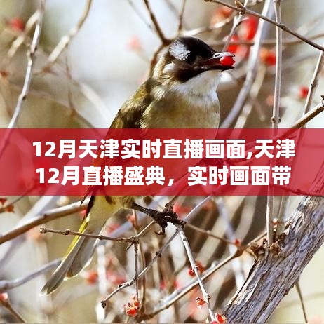 天津直播盛典，實時畫面展現(xiàn)冬日風情