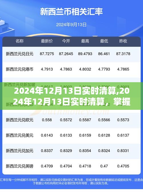 掌握金融動態(tài)，2024年12月13日實(shí)時清算流程詳解