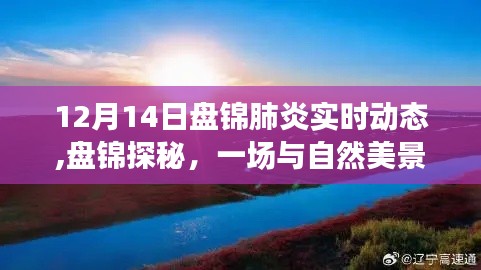盤錦肺炎實時動態與冬日自然美景探秘，追尋內心的寧靜與平和