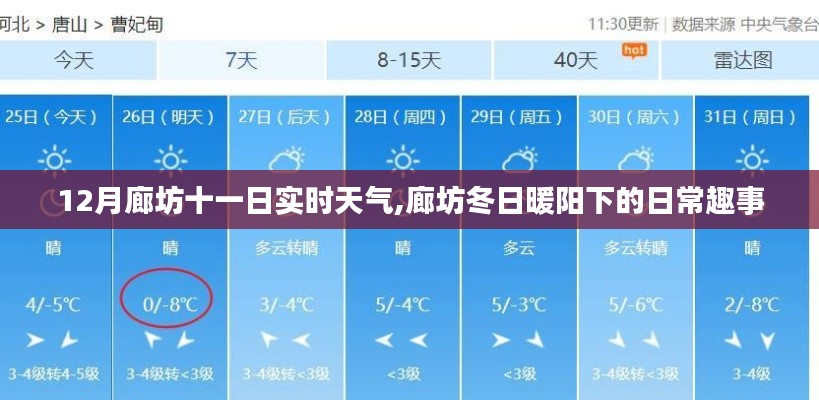 廊坊十二月份十一日實時天氣，冬日暖陽下的日常趣事