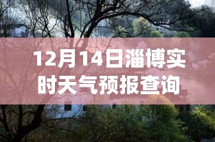 淄博探秘，小巷深處的天氣驛站——實(shí)時(shí)天氣預(yù)報(bào)查詢之旅（12月14日）