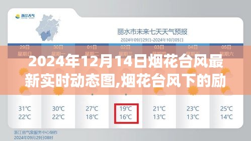 煙花臺風下的勵志之光，實時動態圖記錄學習成長與自信塑造之旅