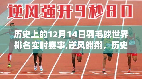 歷史上的羽毛球巔峰對決，逆風(fēng)翱翔背后的故事，回顧十二月十四日世界排名實時賽事