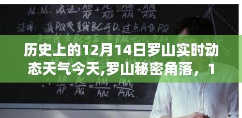 羅山秘密角落美食之旅，探尋12月14日獨(dú)特天氣下的驚喜美食與實(shí)時(shí)動(dòng)態(tài)天氣體驗(yàn)
