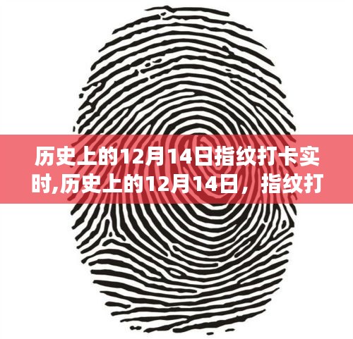 指紋打卡技術(shù)的演變之旅，歷史上的十二月十四日回顧與實(shí)時發(fā)展觀察