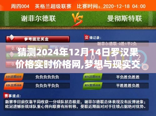 勵(lì)志之旅，預(yù)測羅漢果價(jià)格實(shí)時(shí)走勢，夢想與現(xiàn)實(shí)交匯于2024年12月14日羅漢果價(jià)格網(wǎng)