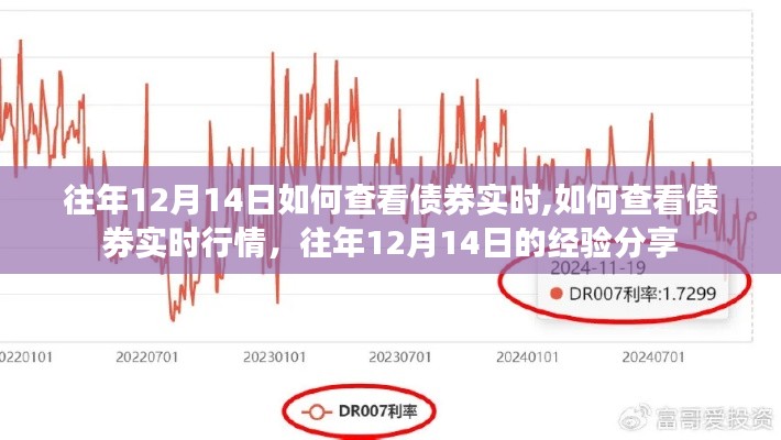 往年12月14日債券實(shí)時(shí)行情查看經(jīng)驗(yàn)分享，如何快速獲取債券實(shí)時(shí)行情數(shù)據(jù)？